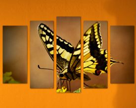 Декоративен  панел за стена Пеперуда - 02059