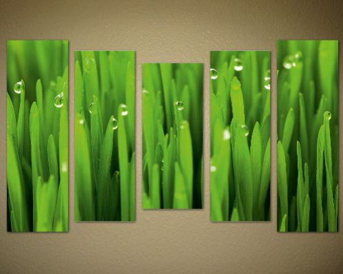 Декоративен  панел за стена Трева с капчици роса  - 07051